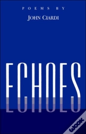 Capa do artigo Echoes