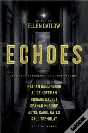 Capa do artigo Echoes