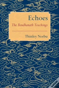 Capa do artigo Echoes
