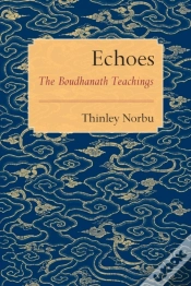 Capa do artigo Echoes