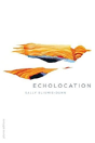 Echolocation - Preview