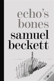Capa do artigo Echo