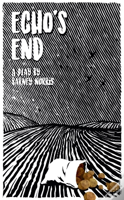 Capa do artigo Echo'S End