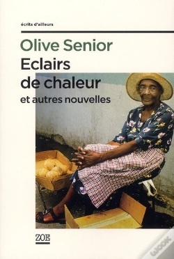 Capa do artigo Éclairs De Chaleur