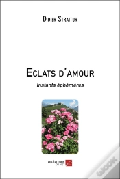 Capa do artigo Éclats D