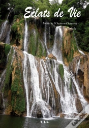 Capa do artigo Éclats De Vie