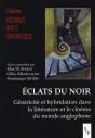 Éclats Du Noir ; Généricité Et Hybridation Dans La Littérature Et Le Cinéma Du Monde Anglophone - Preview