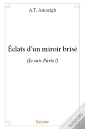 Eclats D'Un Miroir Brise