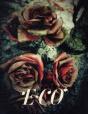 E.Co - Preview
