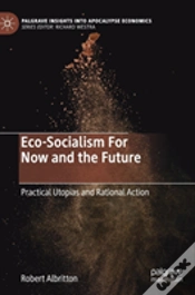 Capa do artigo Eco-Socialism For Now And The Future