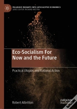 Capa do artigo Eco-Socialism For Now And The Future