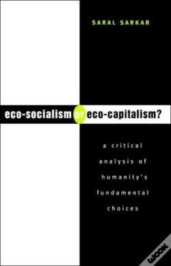 Capa do artigo Eco-Socialism Or Eco-Capitalism?