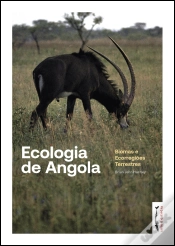 Capa do artigo Ecologia de Angola