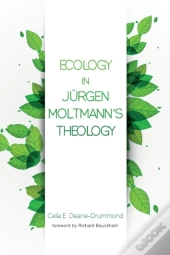 Ecology In Jurgen Moltmann'S Theology