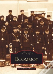 Capa do artigo Ecommoy