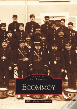 Capa do artigo Ecommoy