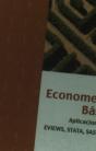 Econometría Básica - Preview