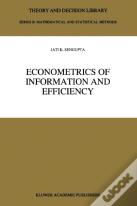 Econometrics Of Information And Efficiency