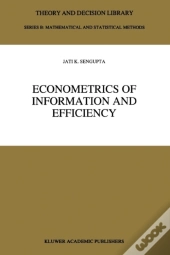 Econometrics Of Information And Efficiency