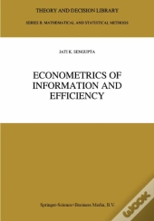 Econometrics Of Information And Efficiency