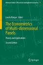Econometrics Of Multi-Dimensional Panels - Preview