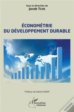 Capa do artigo Économétrie Du Développement Durable