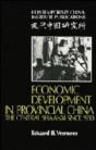 Economic Development In Provincial China - Preview