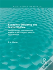 Economic Efficiency And Social Welfare (Routledge Revivals)