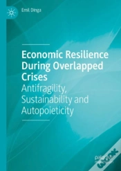Capa do artigo Economic Resilience During Overlapped Crises