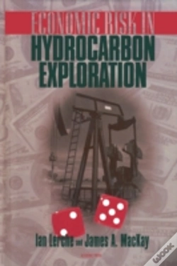 Capa do artigo Economic Risk In Hydrocarbon Exploration