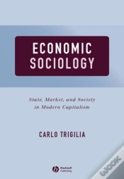 Capa do artigo Economic Sociology