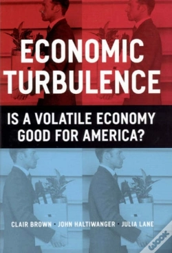 Capa do artigo Economic Turbulence