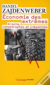 Capa do artigo Économie Des Extrêmes : Krachs, Catastrophes Et Inégalités