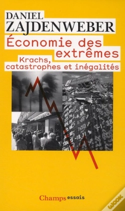 Capa do artigo Économie Des Extrêmes : Krachs, Catastrophes Et Inégalités