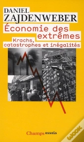 Économie Des Extrêmes : Krachs, Catastrophes Et Inégalités