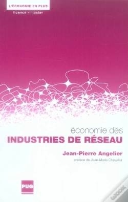 Capa do artigo Économie Des Industries De Réseau