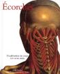 Écorchés : L'Exploration Du Corps Xive-Xviiie Siècle - Preview