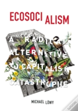 Capa do artigo Ecosocialism