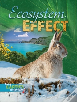 Capa do artigo Ecosystem Effect