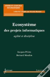 Capa do artigo Ecosysteme Des Projets Informatiques Agilite Et Discipline