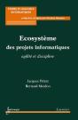 Ecosysteme Des Projets Informatiques Agilite Et Discipline - Preview