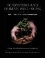 Ecosystems And Human Well-Being - Preview