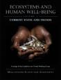 Ecosystems And Human Well-Being - Preview
