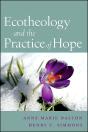 Ecotheology And The Practice Of Hope - Preview