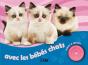 Écoute Et Compte Avec Les Bébés Chats - Preview