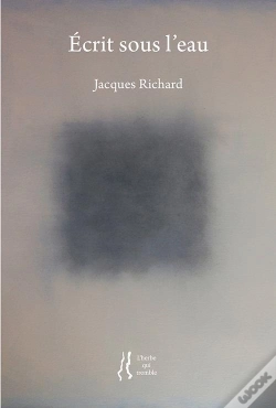 Capa do artigo Ecrits Sous L'Eau