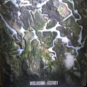 Capa do artigo Ecstasy - Vinil