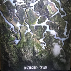 Capa do artigo Ecstasy - Vinil