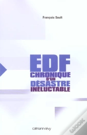Edf : Chronique D'Un Desastre Ineluctable