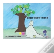 Capa do artigo Edgar